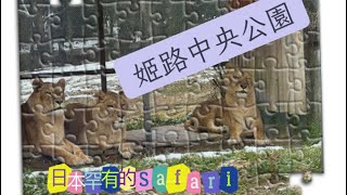 日本姬路中央公園 Central Park - Safari 野生動物園