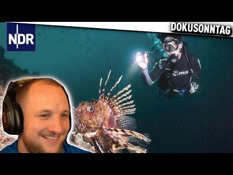 Abenteuer unter Wasser - Die Submaris - REAKTION | ELoTRiX DOKUSONNTAG