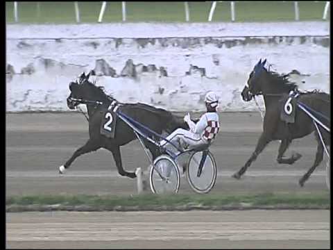 Trotto 26/03/2015 - 5° corsa