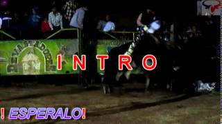 preview picture of video 'CALTEPEC 2015 JARIPEO -BAILE'