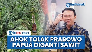 Ahok Tak Setuju dengan Prabowo yang Ingin Tanam Sawit di Papua: Di Mana Flora-fauna Kita Bisa Hidup?