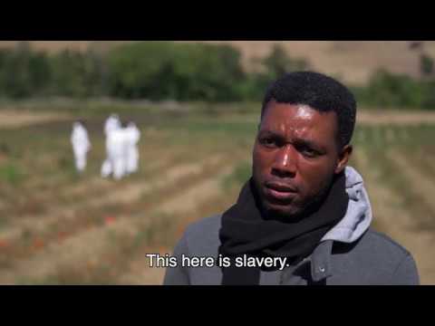 Rights holders perspectives of severe labour exploitation | European Union Agency for Fundamental Rights