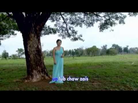 tau deev tsis tau yuav