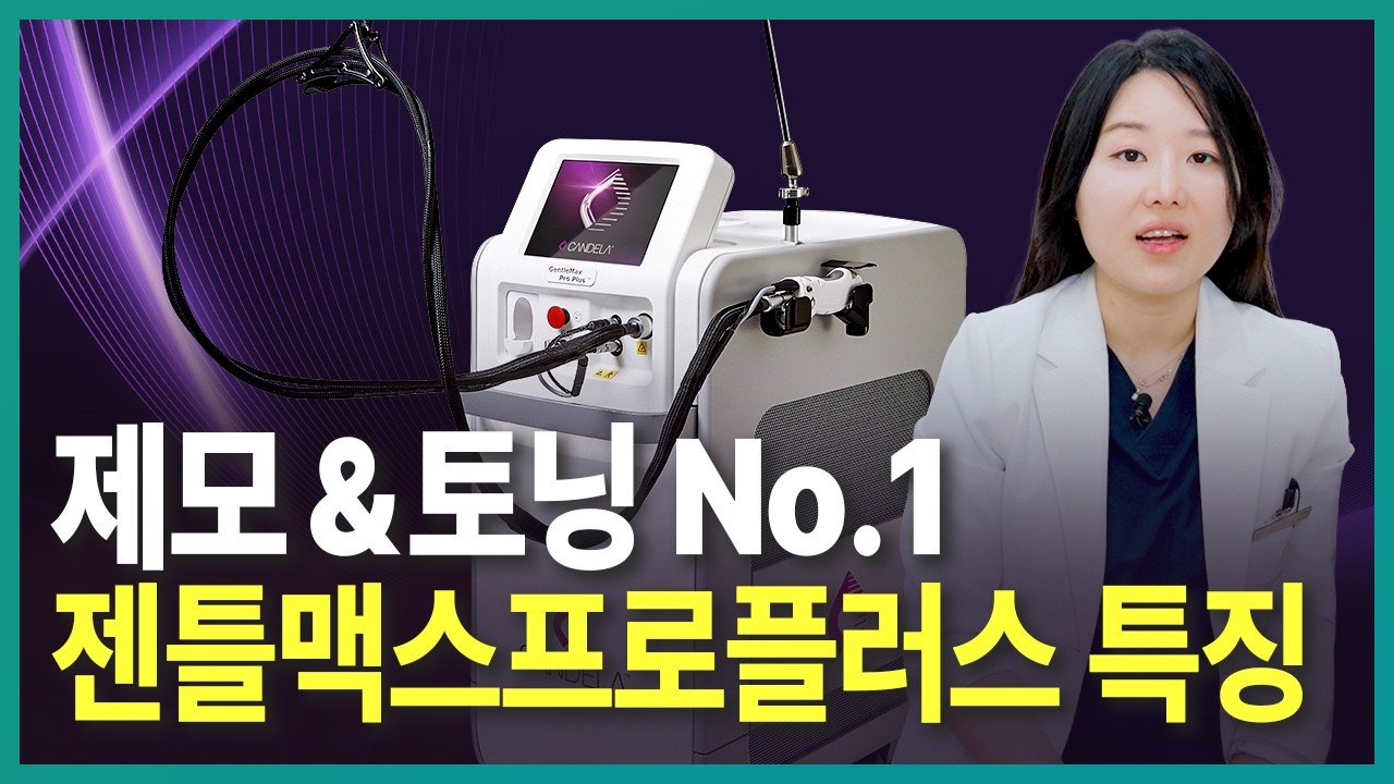 초보자를 위한 젠틀맥스 프로 플러스 가이드