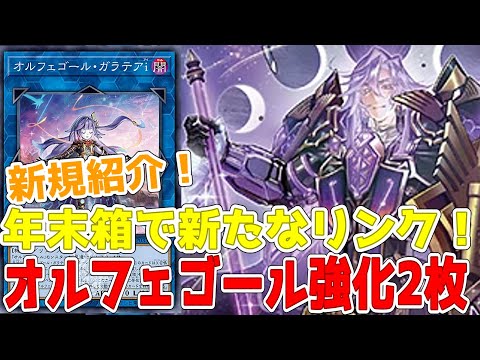 園芸 テネリフェ島バグロス