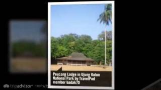 preview picture of video 'Ujung Kulon National Park - Java, Indonesia'