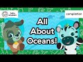 All About Oceans Baby Einstein Learning Show For Toddlers Kids Cartoons