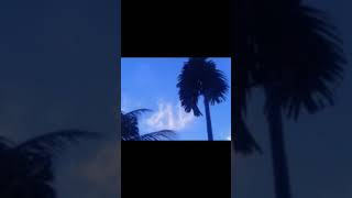 Download lagu Beberapa bukti kekuasaan Allah SWT mp3 Download lagu Beberapa bukti kekuasaan Allah SWT mp3