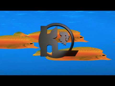 młody yerba + angelicxmei + iluvpete + ksave + lunar + hifire - message (starboyrob x iamsynthetic_)