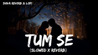 Download lagu Tum Se Kiran Dhoop Ki [Slowed x Reverb] Lofi | Shahid Kapoor, Kriti Sanon | mp3
