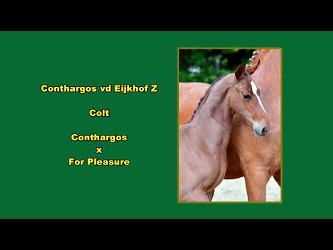 FFA Beervelde 2020 Conthargos vd Eijkhof Z