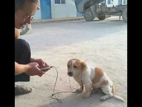 Sad Lil bo weep x PHARAOH x Bones x XXXTENTACION type beat (prod.by Ventus)