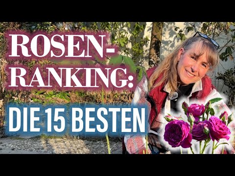 🌹Die BELIEBTESTEN öfterBLÜHENDEN Rosen 🌹