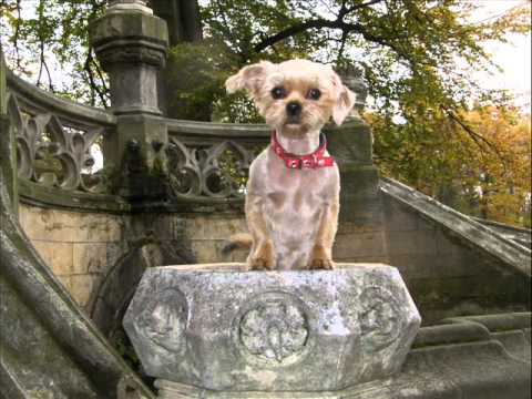 Moje malá Peggy :-)