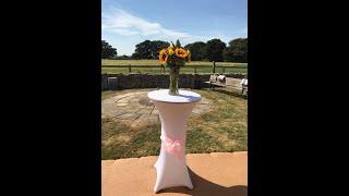 Mimi Wellness Event