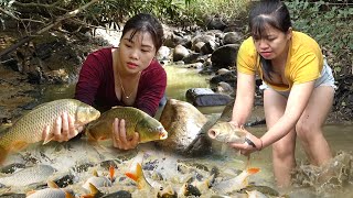 Interesting Fishing: The Girl Harvest a Lot Of Big Fish In The Pond, Goes To Countryside Market Sell