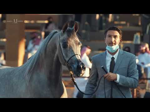 🌸 D JAHRAA⁣ 🌸 Junior Fillies Championship Contender, 2022 KIAHF