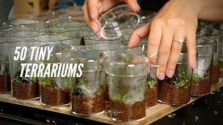 I made 50 TINY TERRARIUMS!!