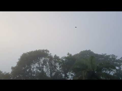 Oregon (feat. Collin Walcott), La Jolla (1979)