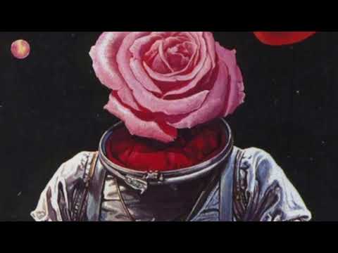 Tape Loader - The Workout (feat. Lucy Black)