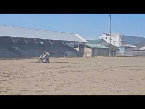 Northeast Washington County Fairgrounds- Colville video thumbnail