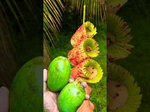 next level mango pickle 🥭 #subscribe #viral #youtubeshorts #shorts #mango