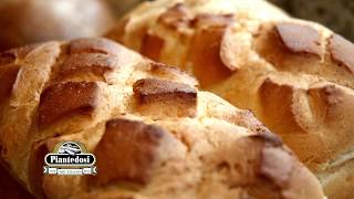 Piantedosi Baking Co with Regis Philbin