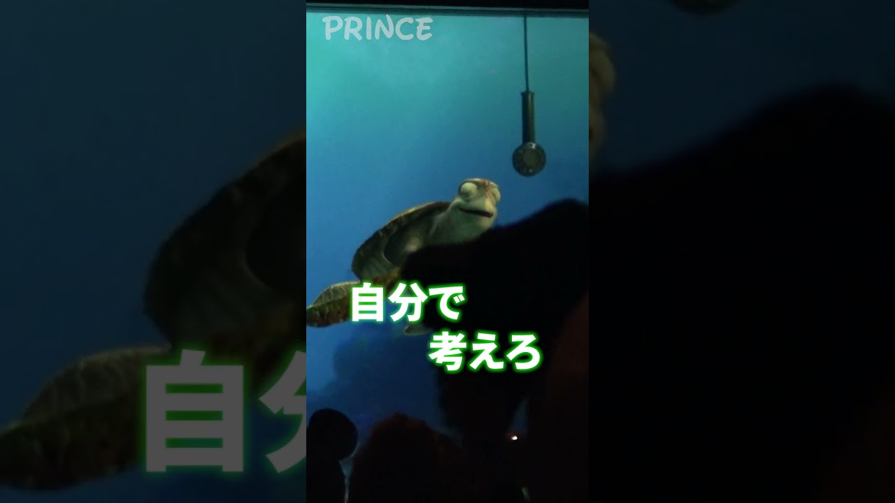 【タートルトーク】初めてのボーナスで親孝行したいです！【ディズニー】 #shorts