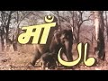 माँ Maa 1976 Hit Action Full Movie Hema Malini Om Prakash Dharmendra Ranjeet Nirupa Roy