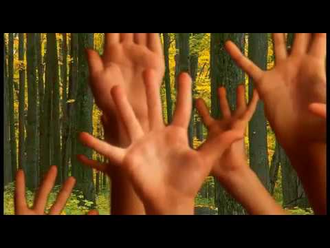 The Love of Trees by Stuart Wilde