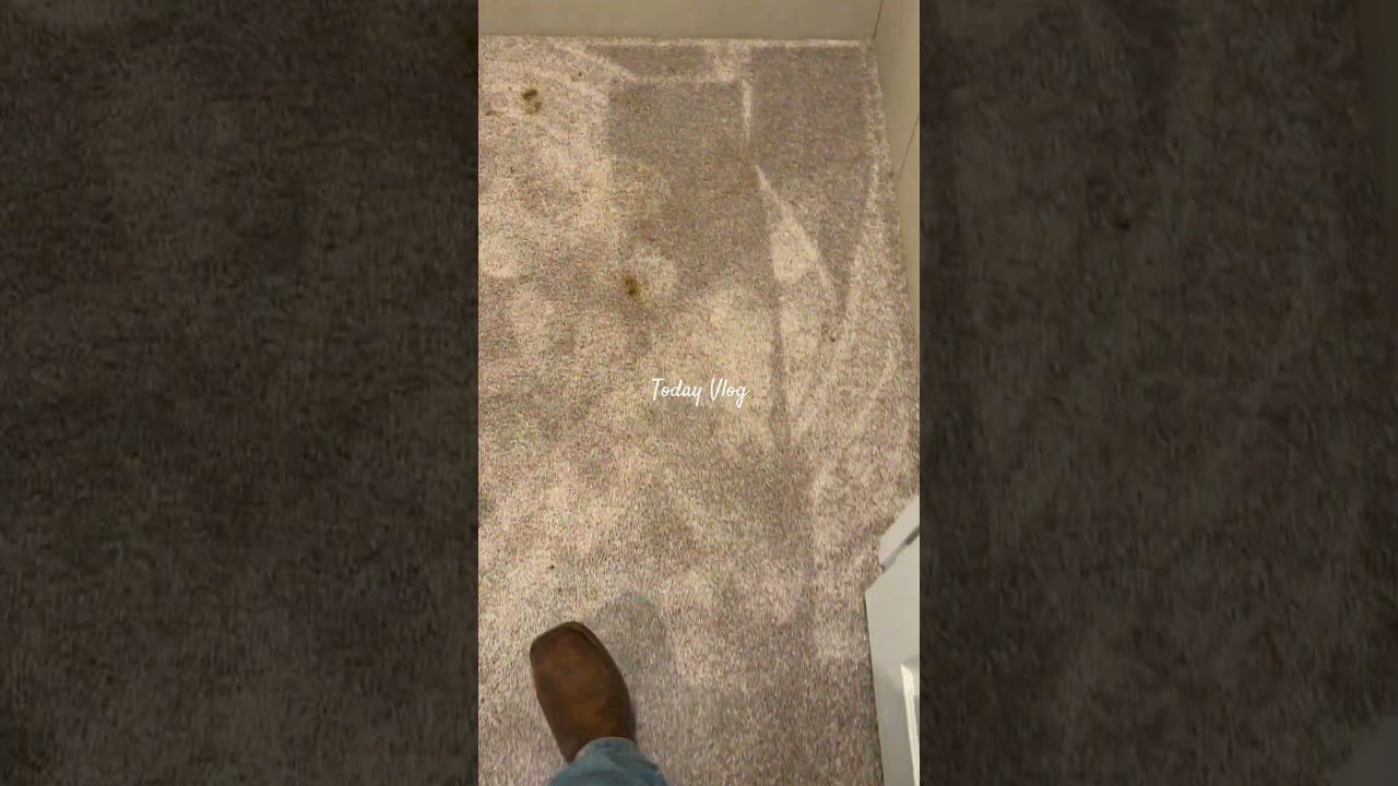 From stained to spotless