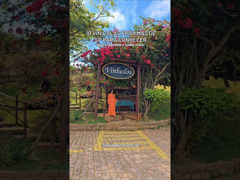 10 Vinícolas perto de São Paulo para conhecer!