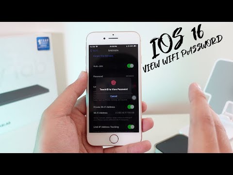 How to view wifi password on iOS 16