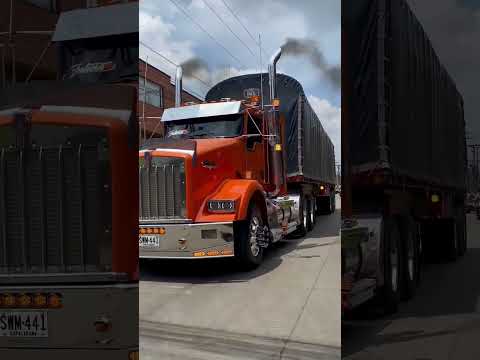 mulas de Colombia hermosa mula colombiana#mulas #tractomulas #colo