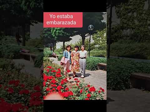 Estudié el idioma alemán en Alemania y el francés en Bruselas. Música What Now? autor @XenoRec