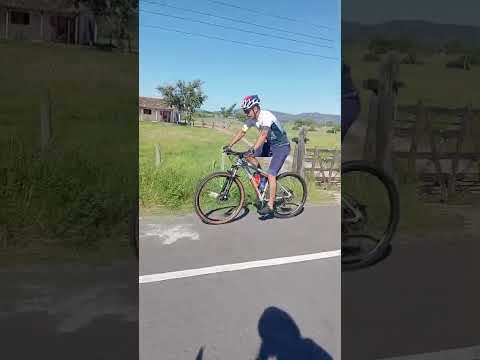 giro do gordinho maribondo al