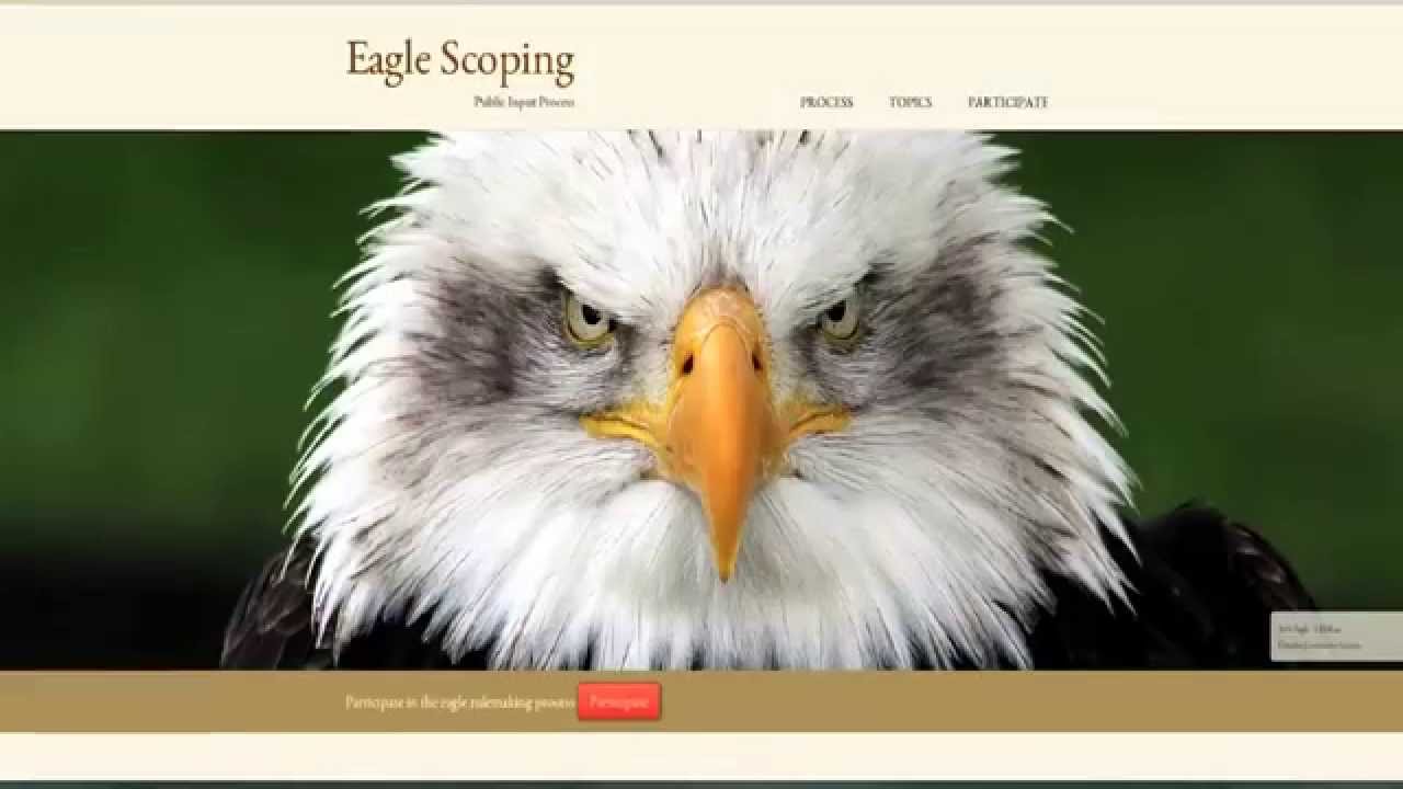 Bald and Golden Eagle Management Public Scoping Process