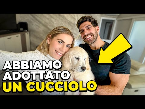 WE ADOPTED A GOLDEN RETRIEVER PUPPY