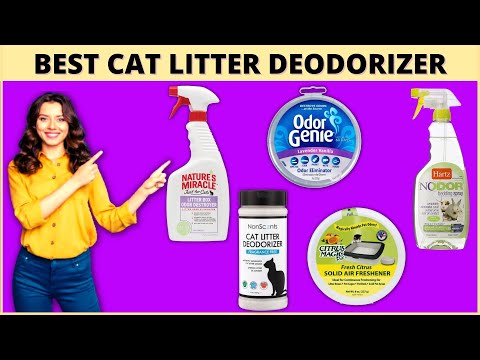 Best Cat Litter Deodorizer for Odor Control(Reduce Nasty Litter Box Smell) - Cute Litter Box