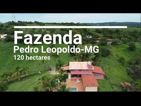 Fazenda 120 hectares em Pedro Leopoldo - MG. R$7.000.000,00.