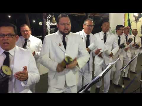 38 - Flor de Jagube - O Cruzeiro - Mestre Irineu