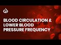 Healing Frequency Music: Helps Blood Circulation & Lower Blood Pressure