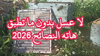 لا العسل اذا لم تطبق ما أقوله لك من نصائح توقعات السنة 2026 في العسل 