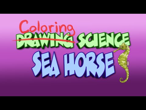 Coloring Science: Seahorse