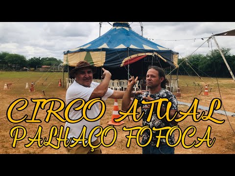 Circo atual palhaço fofoca
