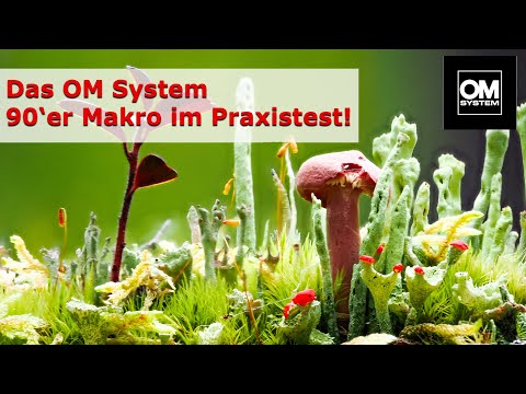 SUPERMAKRO: The OM System 90s Macro in practical testing!