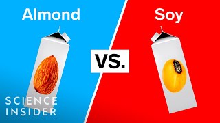 Download lagu The Best Vegan Milks, According To A Dietitian mp3