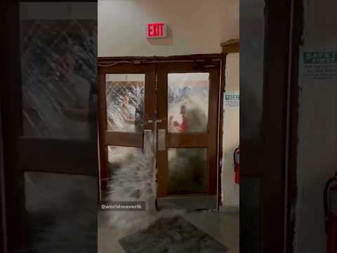 Escape the Tsunami: Can They Survive?