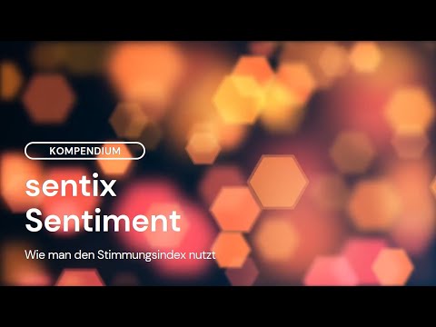 sentix Sentiment erklärt