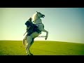 Ertugrul Theme Song With Urdu Subtitle Translate